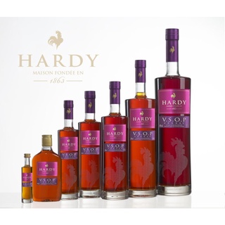 Vỏ Chai Rượu Ngoại Hardy Xuất Xứ Pháp Dung Tích 700ML Cực Đẹp.Chai Rỗng Không Có Rượu Bên Trong.