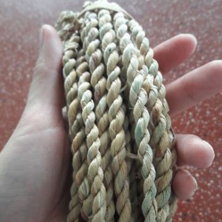 50m dây lục bình khô se