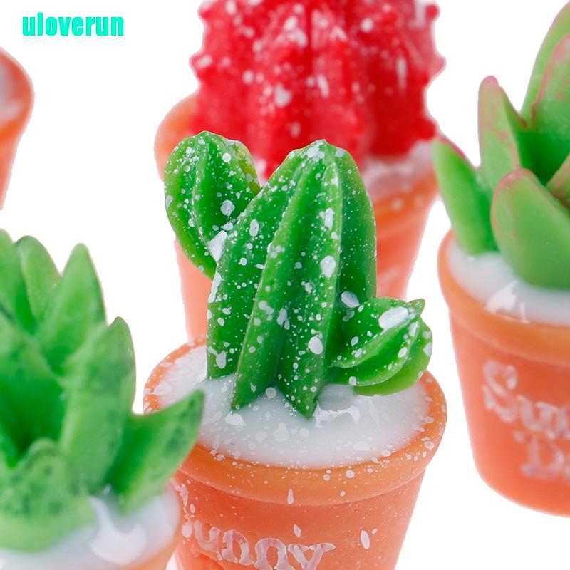 Bộ 5 Cây Xương Rồng Mini Bằng Nhựa Resin Dùng Trang Trí Tiểu Cảnh DIY