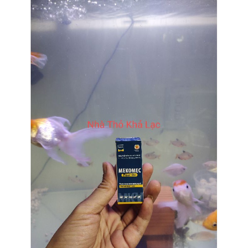 Nhỏ Gáy Ngừa Ve Rận , Ký Sinh Dùng Cho Thỏ - Bọ - Chó - Mèo