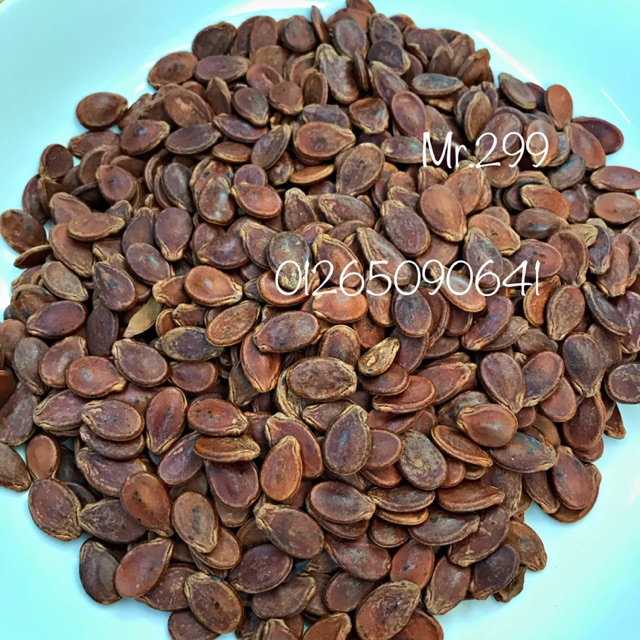 Hạt dưa rang ăn liền hạt size lớn Tứ Hưng