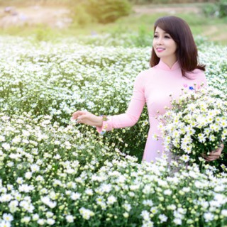 Hạt giống hoa Cúc Chi Trắng 100 Hạt