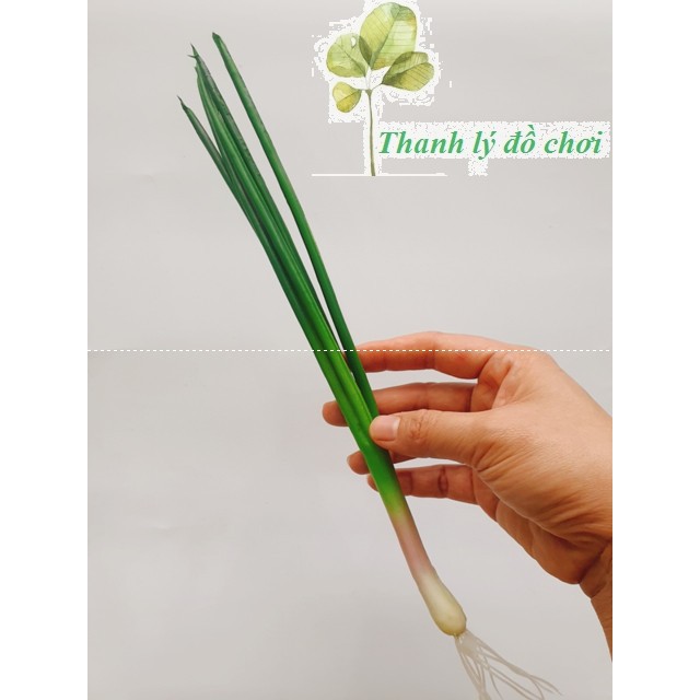 Cây hành lá giả giống thật 99% cho trẻ thực hành cuộc sống giáo cụ mầm non
