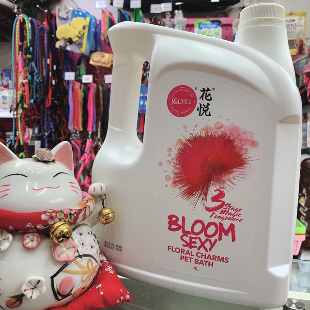 Sữa tắm nước hoa Bloom Sexy can 4L