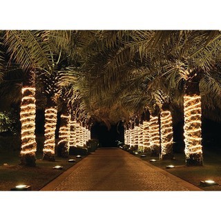 Dây đèn led trang trí led đôi 2835-  Màu trắng- vàng- Xanh Dương Dây led trang quấn cây, hắt trần