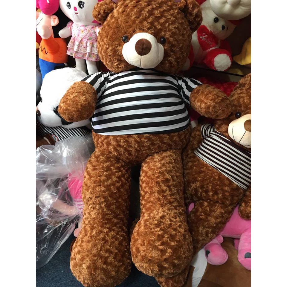 Gấu bông teddy màu nâu cafe kích thước từ 80cm-1m9