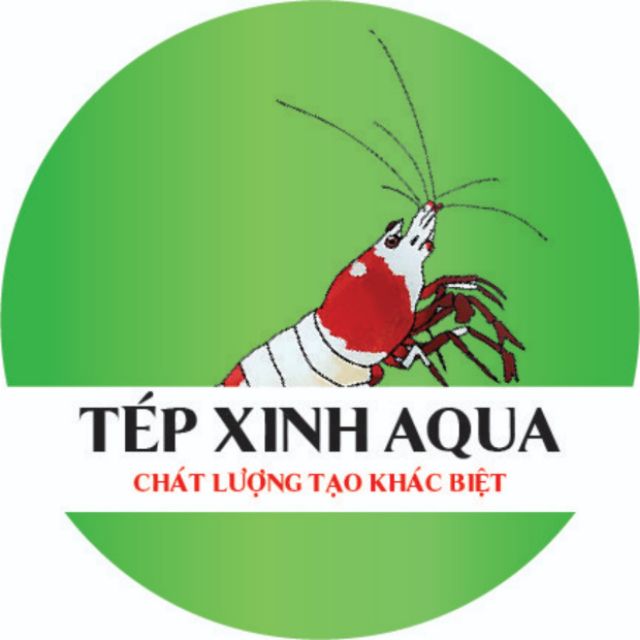 Tép Xinh Aqua_ Tép cảnh Hà Nội