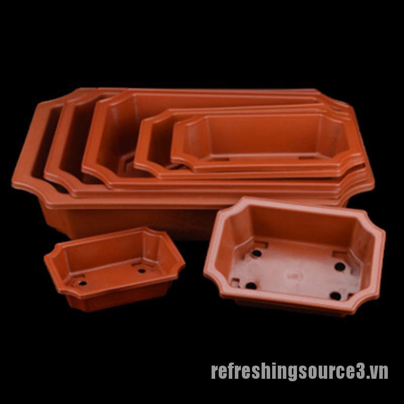 Chậu Nhựa Trồng Cây Mọng Nước / Cây Mọng Nước Hình Chữ Nhật Cho Nhà Ở