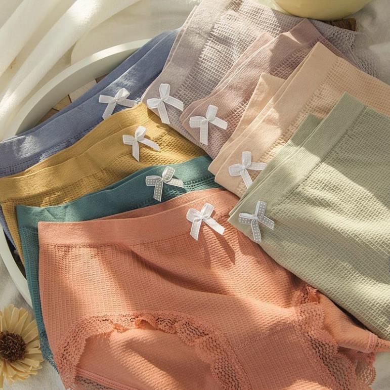 [Giá sỉ] Quần Lót Nữ Cotton Co Giãn 4 Chiều Tông Màu Pastel Siêu Đẹp
