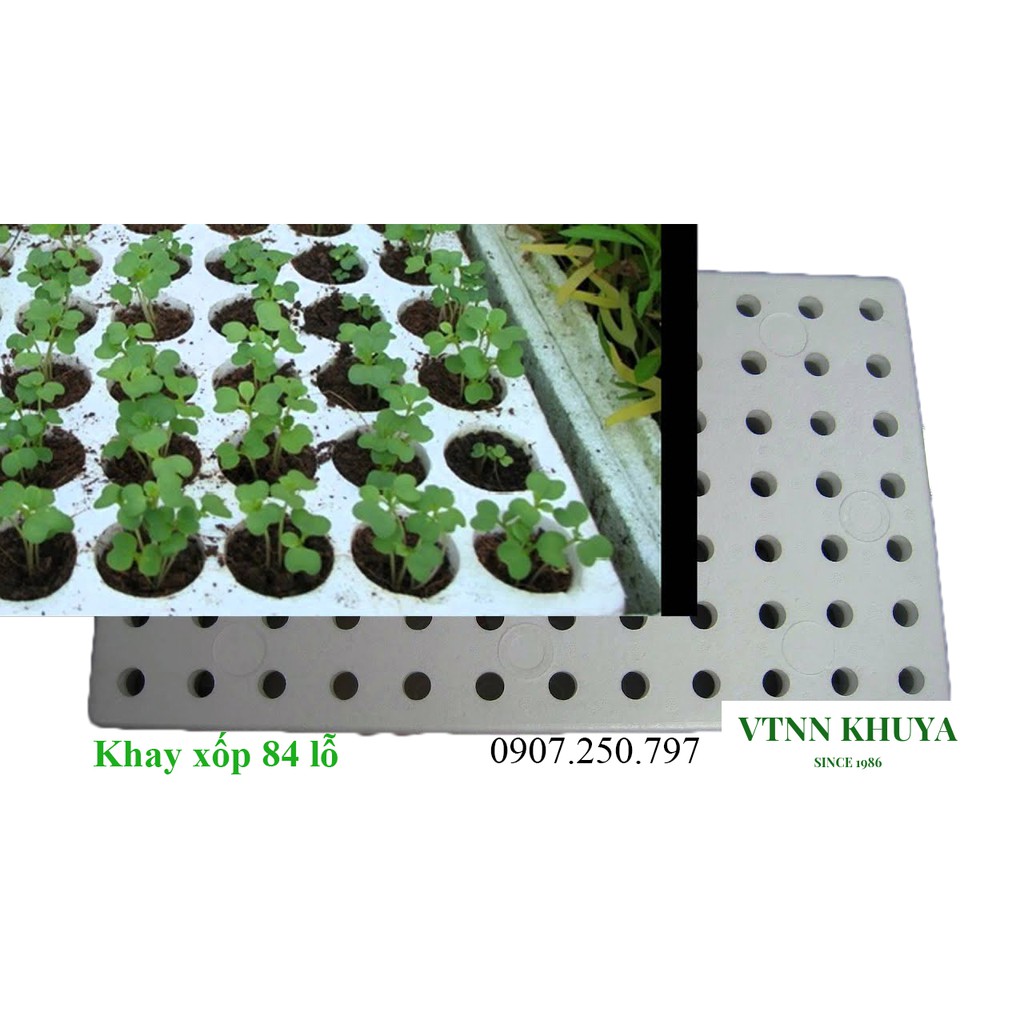 Khay xốp ươm hạt 84 lỗ