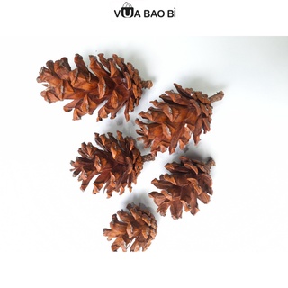 Combo 10 quả thông trang trí giáng sinh loại tự nhiên/vàng/bạc - phụ kiện trang trí noel