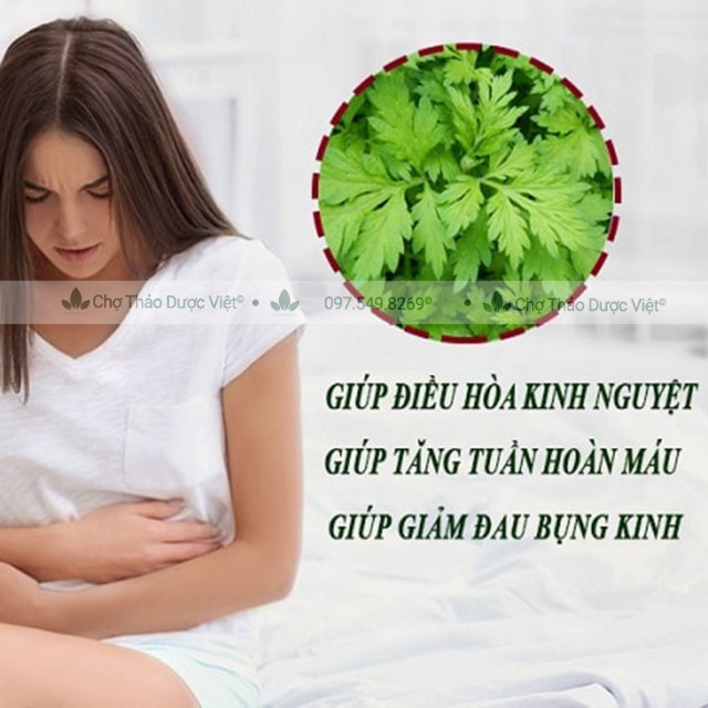 Ngải cứu khô, thơm, nguyên lá 500g - Chợ Thảo Dược Việt