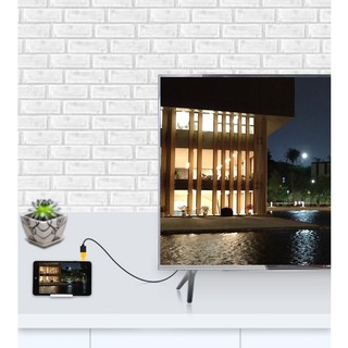 DẦU CHUYỂN MICRO HDMI RA HDMI JINGHUA S113