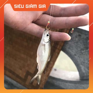 Bộ thẻo 7 lưỡi câu cá mương, hồ siêu nhạy có rọ sắt - Đồ câu Ngọc Hải