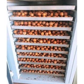 500GR MACCA ĐAKLAK HÀNG DATE LUÔN MỚI
