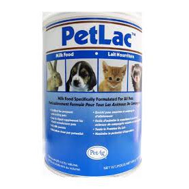 Sữa PetLac cho chó mèo