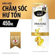 Dầu gội Pantene Nội Địa Nhật Bản Chăm Sóc Hư Tổn 450ml