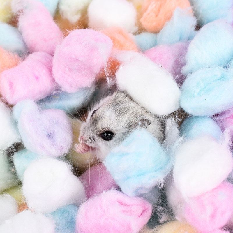 Bông gòn cotton lót ổ cho hamster , sóc