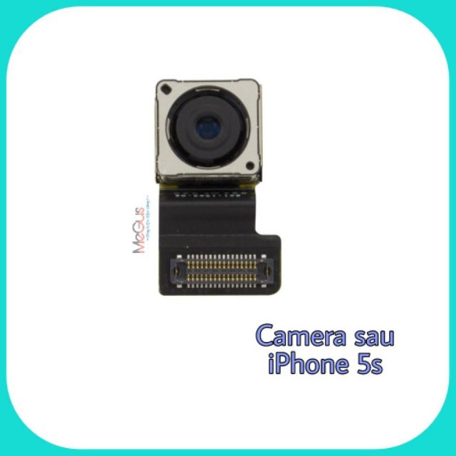 Camera sau iphone 5s zin | WebRaoVat - webraovat.net.vn