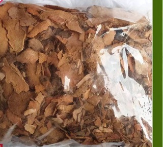 Thổ phục linh - cây khúc khắc/trị bệnh vảy nến