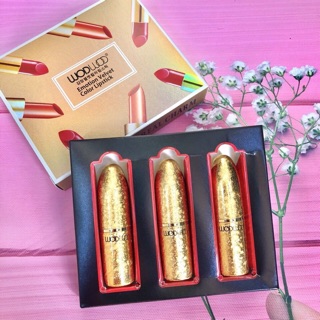 Bộ set 3 son Wodwod