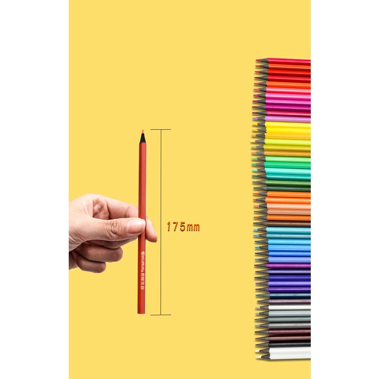 Hộp bút chì màu cao cấp PENSING 24/36/48 màu hộp ống bìa cứng