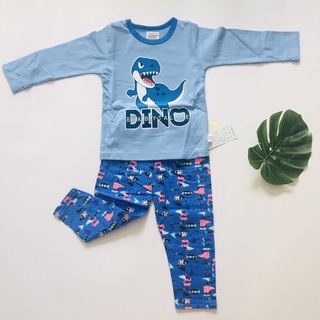Bộ Đồ Dài Tay Cotton Xuất Hàn Cho Bé Trai/ Bé gái (15-22kg)Cực Đẹp