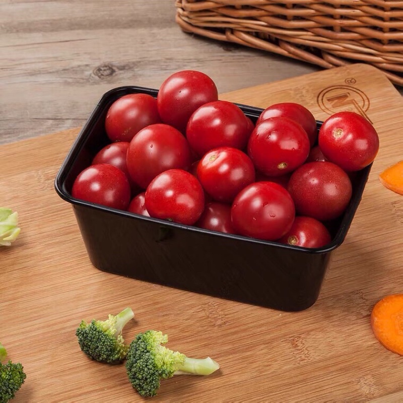 Set 30 hộp nhựa chữ nhật đựng thực phẩm hàng loại 1