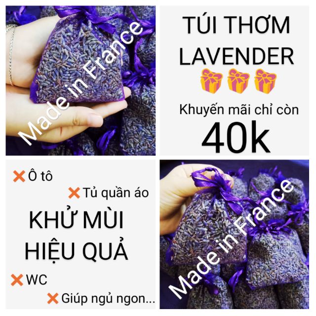 Nụ hoa lavender Pháp khử mùi cực tốt