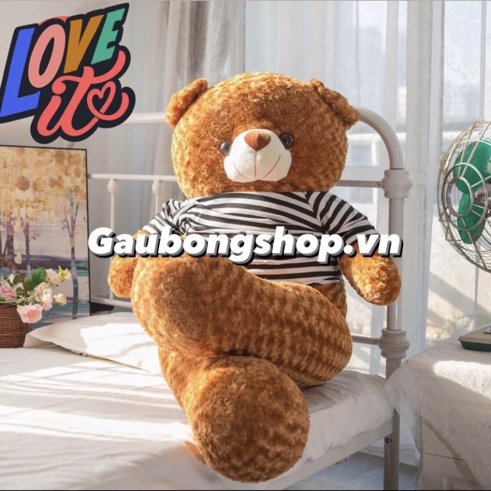 [Mã LIFEXANH03 giảm 10% đơn 500K] Gấu Bông To Gấu Bông Teddy Siêu To Khổng Lồ Quà Tặng Siêu Đáng Yêu Gấu Xinh - G11