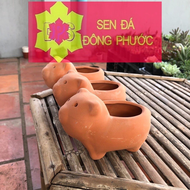 Chậu đất nung hình gấu mini - chậu trồng tiểu cảnh sen đá, xương rồng, cây phong thuỷ văn phòng đẹp