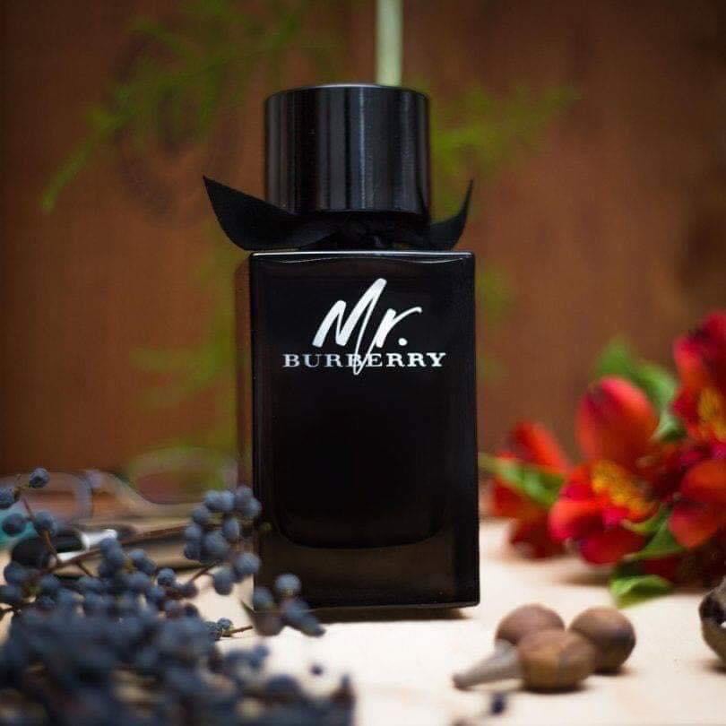 Nước Hoa Nam Mr Burberry EDP 100ml