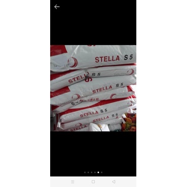 cám stella s5 ( túi 1kg)