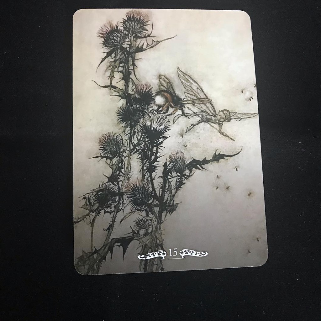 Bộ Bài Fairy Oracle (Mystic House Tarot Shop) - Bài Gốc Authentic Chính Hãng 100%