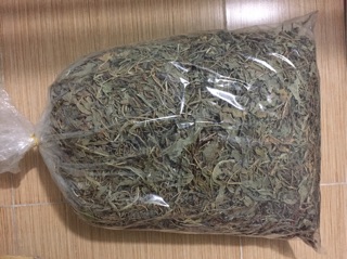 Bồ công anh lùn