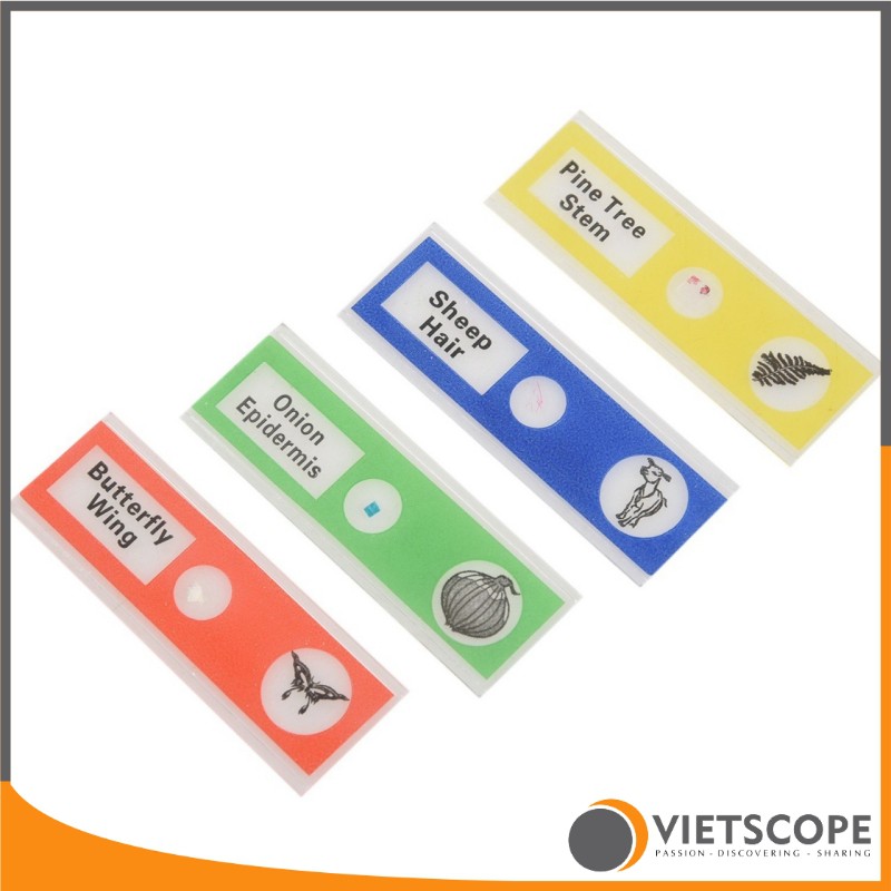 Bộ 12 mẫu tiêu bản đã qua xử lý dành cho kính hiển vi - Lam kính nhựa ABS