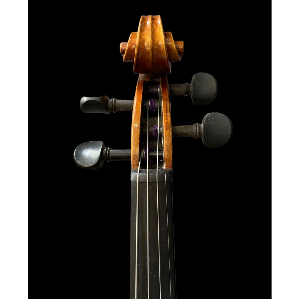 Đàn Violin Antonio Stradivarius Luxury L2