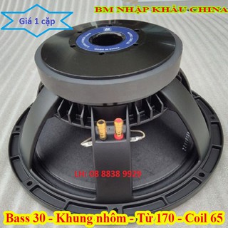 LOA BASS 30 BM CAO CẤP NHẬP KHẨU - GIÁ 1 ĐÔI