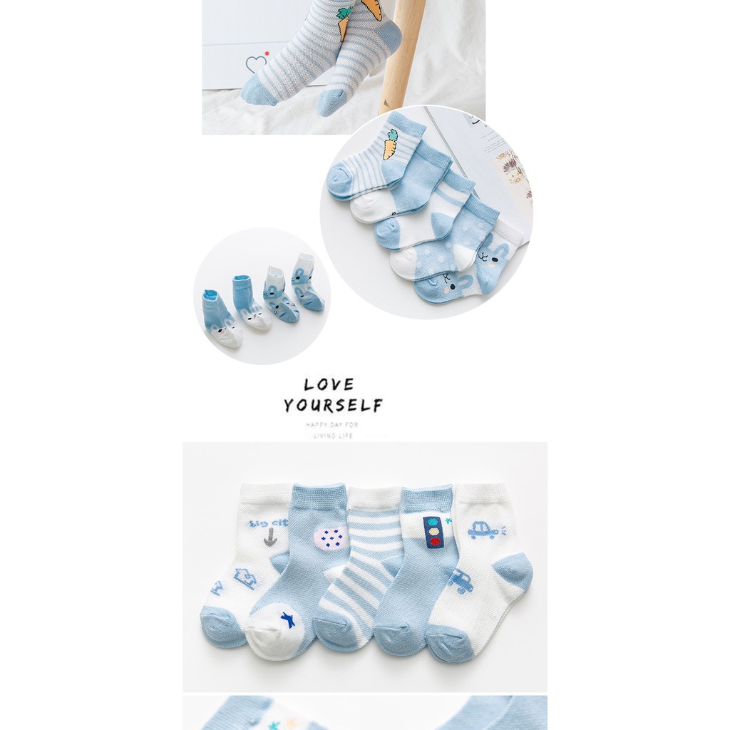 Set 5 đôi Tất cổ chân Hàn Quốc màu ngộ nghĩnh.