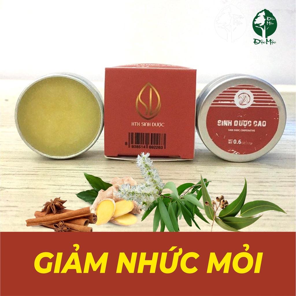 Cao Xoa Bóp Sinh Dược Độc Mộc - Giảm Đau Nhức, Dịu Vết Côn Trùng Cắn