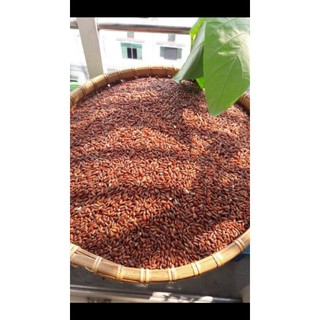 Gạo lứt quê ( loại nấu ko phải loại ăn liền) 1kg