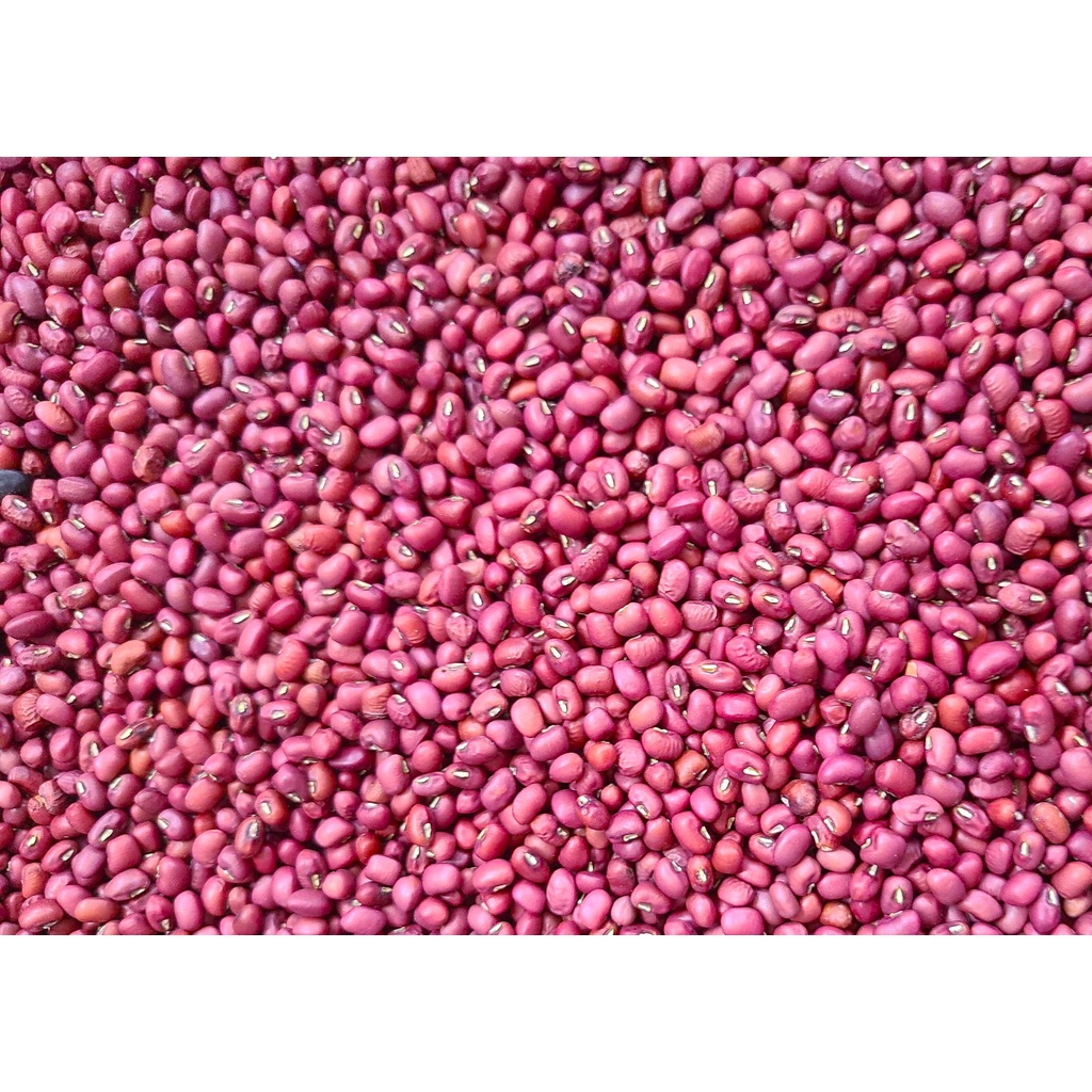 100g các loại đậu