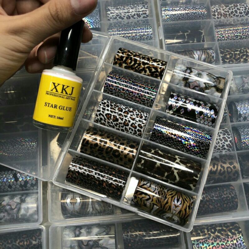 Fion hot mẫu mới