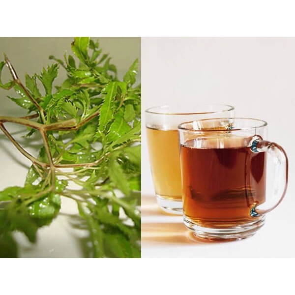 [100% tự nhiên - Mua 5 Tặng 1] Trà đinh lăng túi lọc sadu Hỗ trợ chứng mất ngủ, ngủ ngon, sâu giấc 1 Hộp (20 gói x 2,5g)
