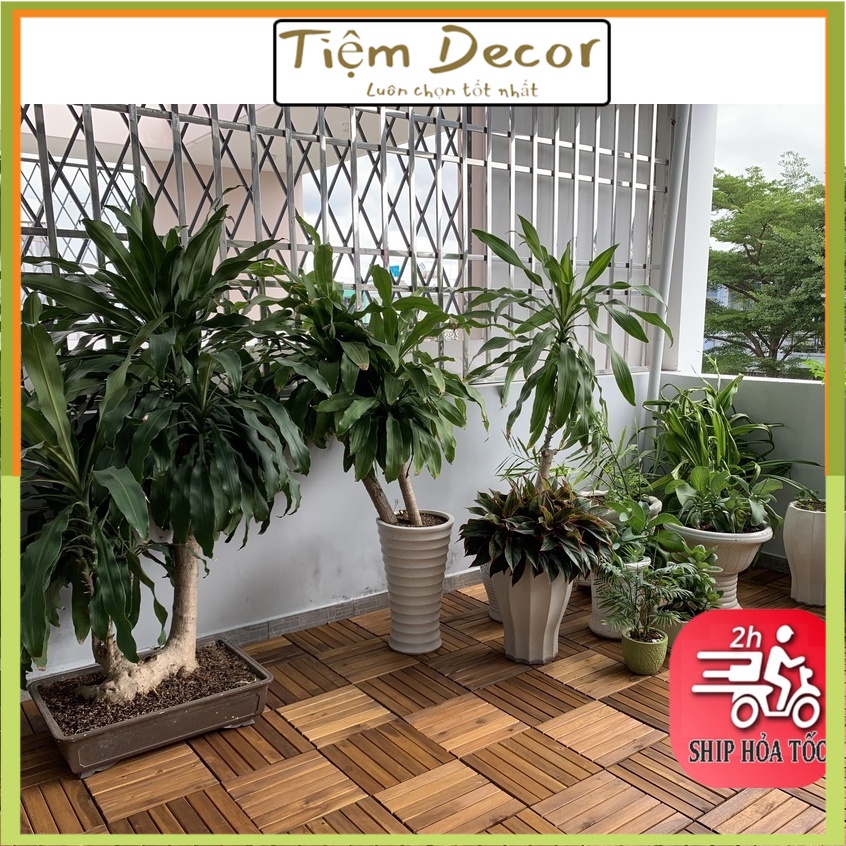 Tấm sàn gỗ vỉ nhựa ngoài trời hàng xuất khẩu loại 1 vân gỗ độ dày 2cm, vỉ lót sàn ban công bể bơi sân vườn