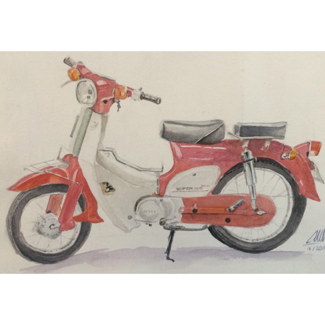 gao_quynh_nhi_vinaseed_2019.