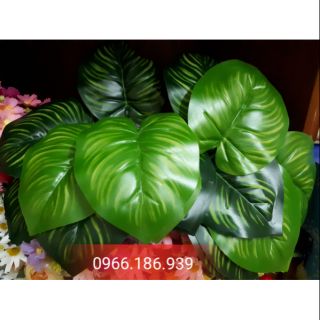 Combo đá pha lê và hoa điểm