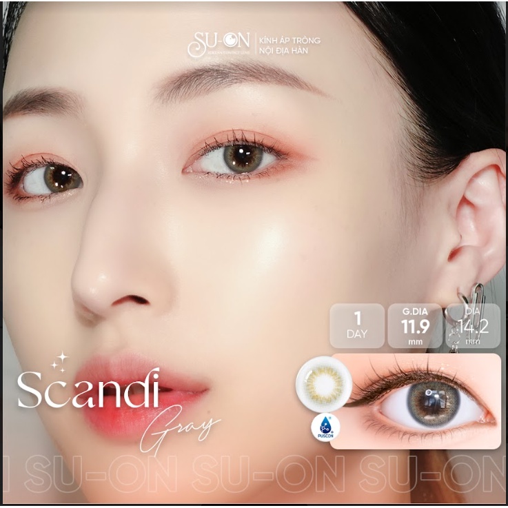 Lens 1 ngày Olens SCANDI GRAY/HAZEL áp tròng 14,2mm, xám tây long lanh Hàn Quốc, siêu êm đeo 24h