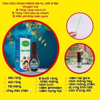 Tinh dầu răng miệng Dạ thảo liên