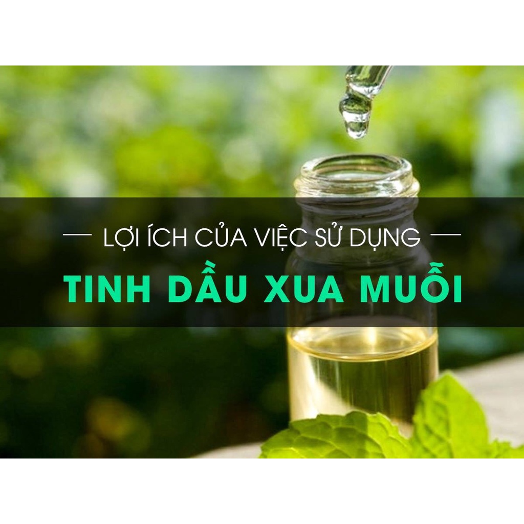 [MUA 1 TẶNG 1] Tinh Dầu Xua Đuổi Muỗi Odora Hàng Chính Hãng 8ml 100% Thiên Nhiên Better Life